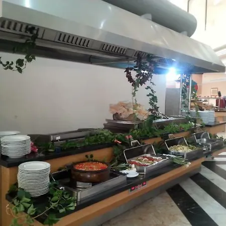 The Holiday فندق أيدين